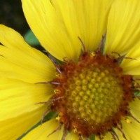 /album/hurmakarn/p1210201-jpg/